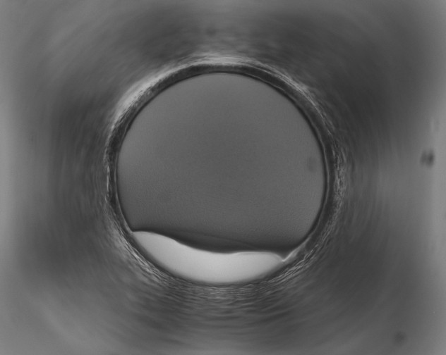 X0000115481319200912040943