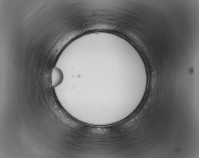 X0000115481321200912040943