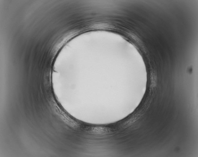 X0000115481322200912040943