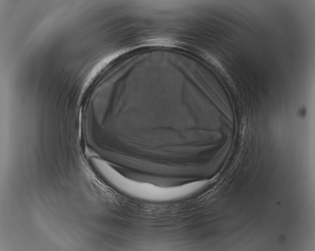 X0000115481323200912040943