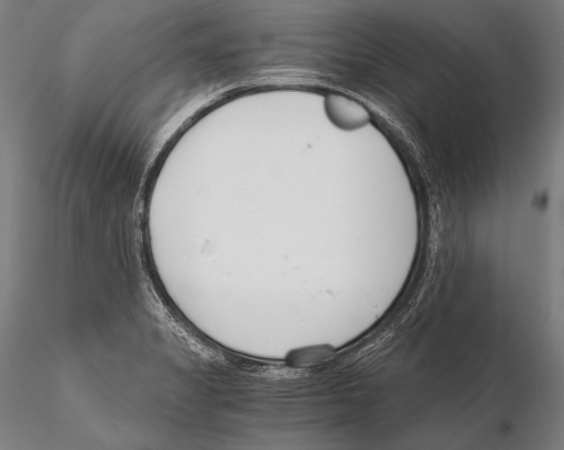 X0000115481325200912040943
