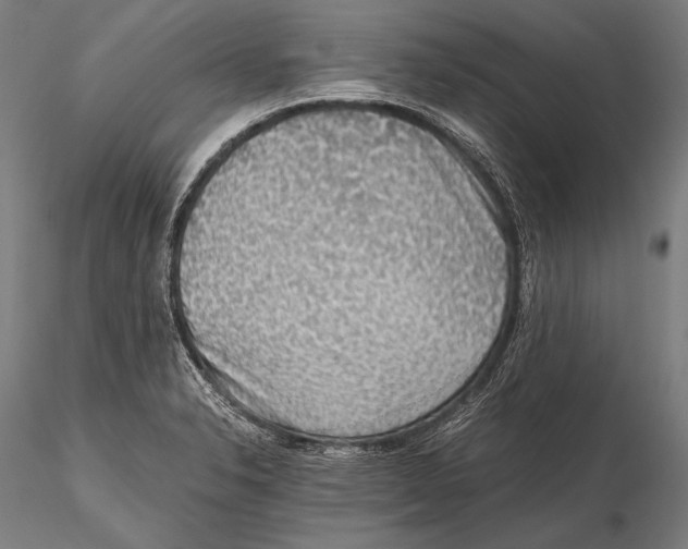 X0000115481326200912040943