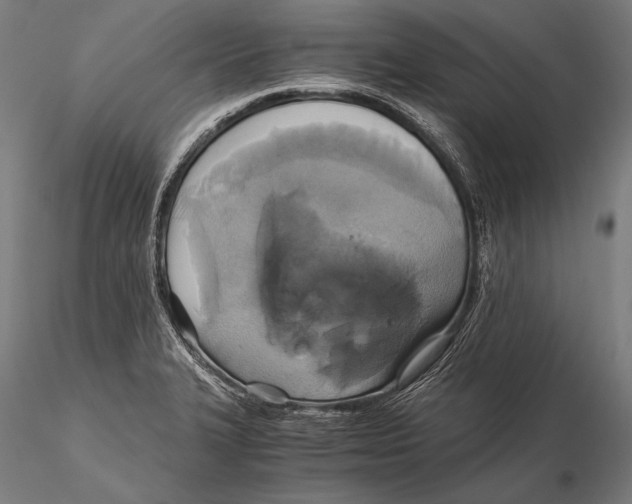 X0000115481327200912040943