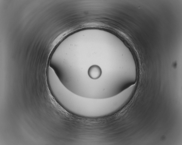 X0000115481330200912040943