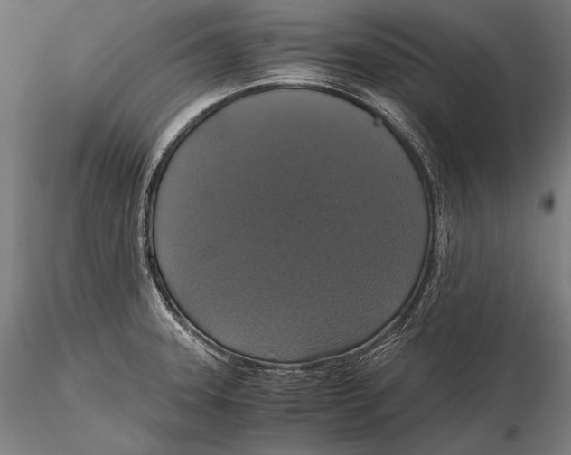 X0000115481331200912040943