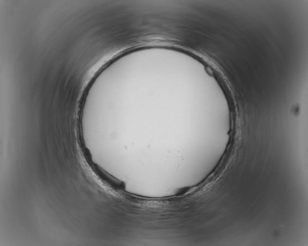 X0000115481333200912040943