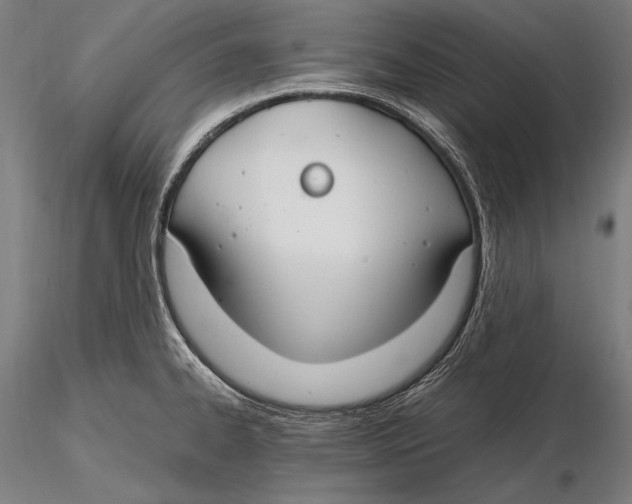 X0000115481334200912040943