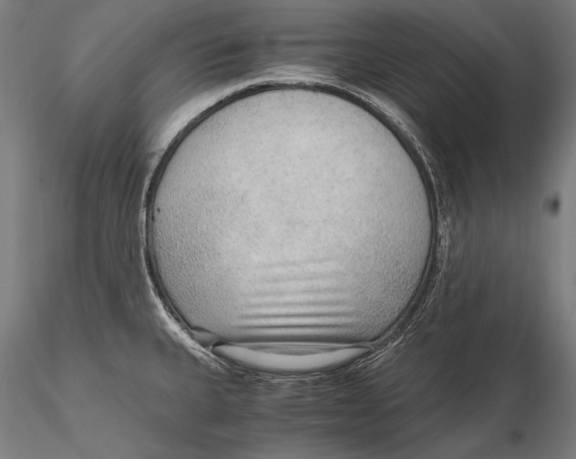 X0000115481335200912040943