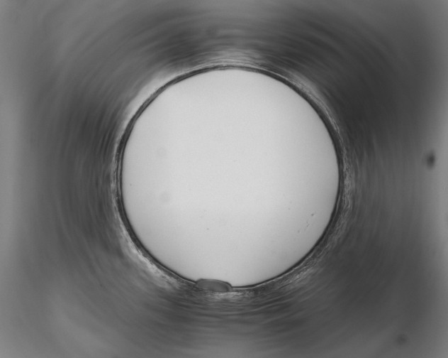 X0000115481339200912040943