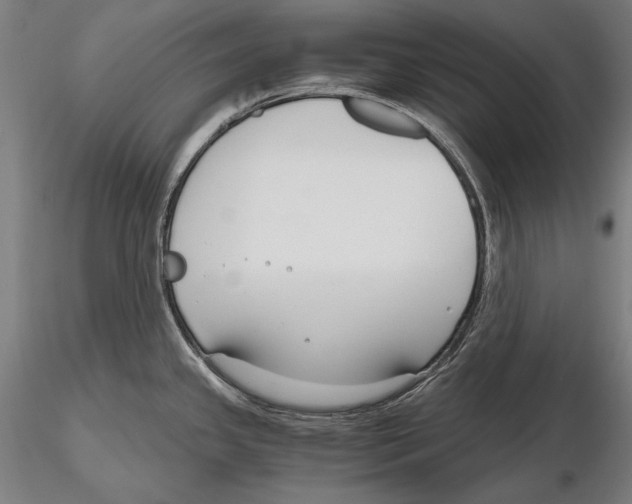 X0000115481341200912040943