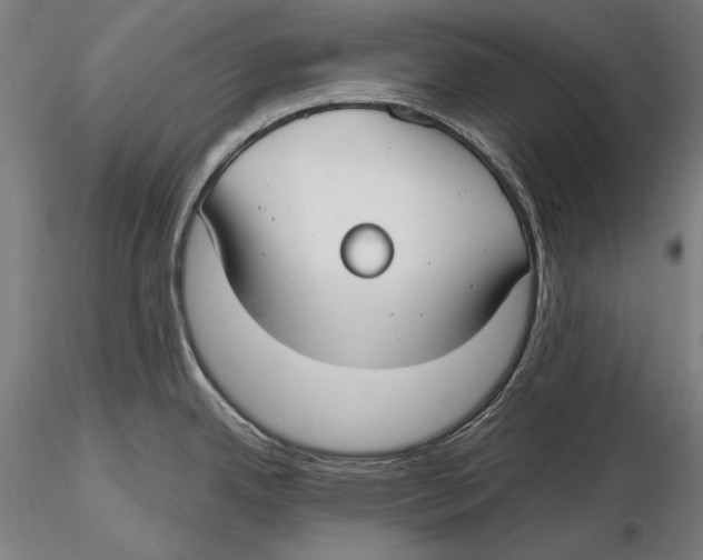 X0000115481342200912040943