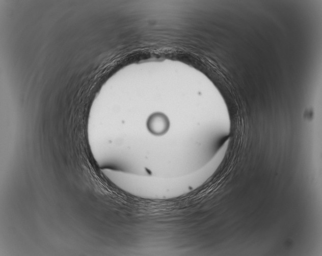 X0000115481345200912040943