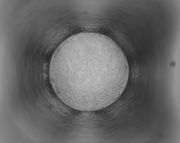 X0000115481346200912040943