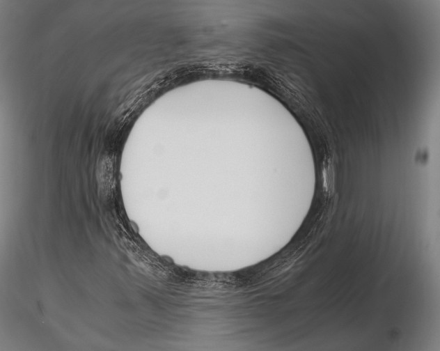 X0000115481347200912040943