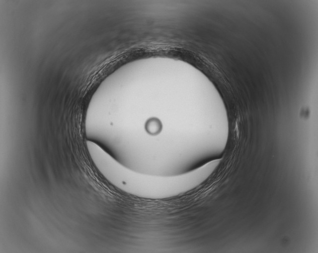 X0000115481348200912040943