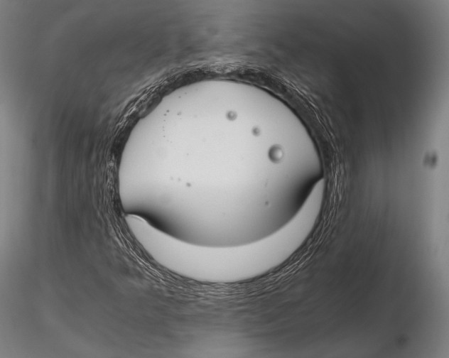 X0000115481349200912040943