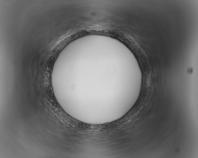 X0000115481350200912040943