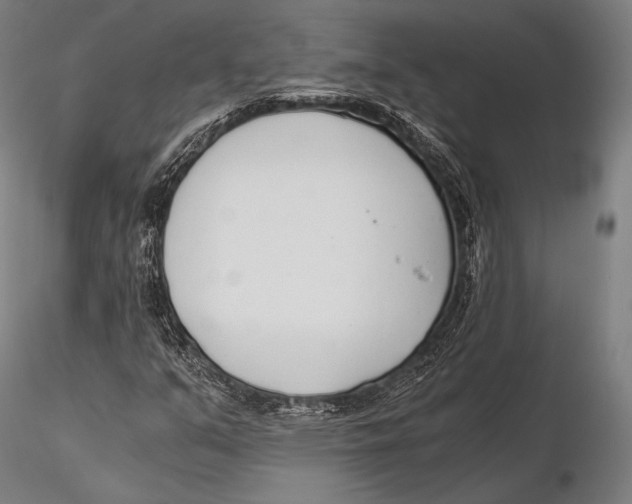 X0000115481351200912040943
