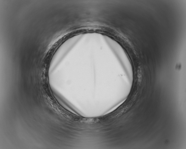 X0000115481352200912040942