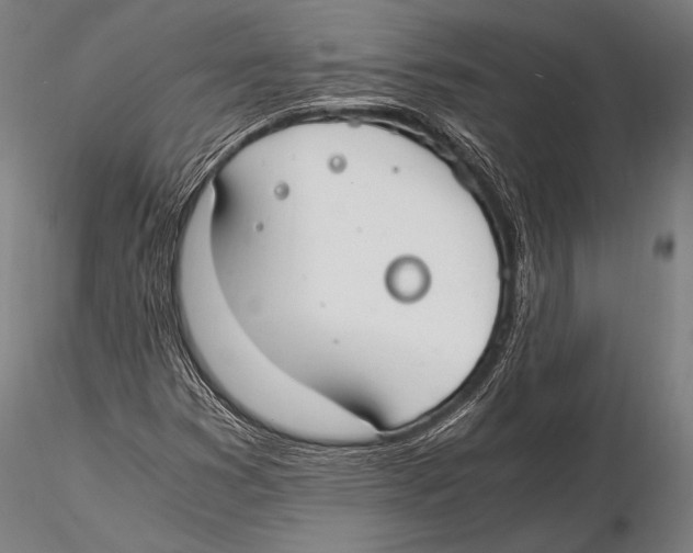 X0000115481353200912040942