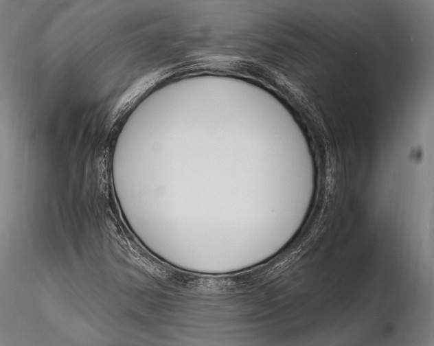 X0000115481354200912040942