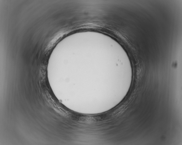 X0000115481355200912040942