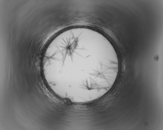 X0000115481356200912040942