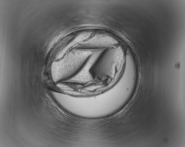 X0000115481357200912040942