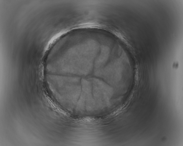 X0000115481358200912040942