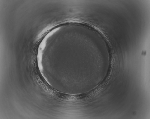 X0000115481359200912040942