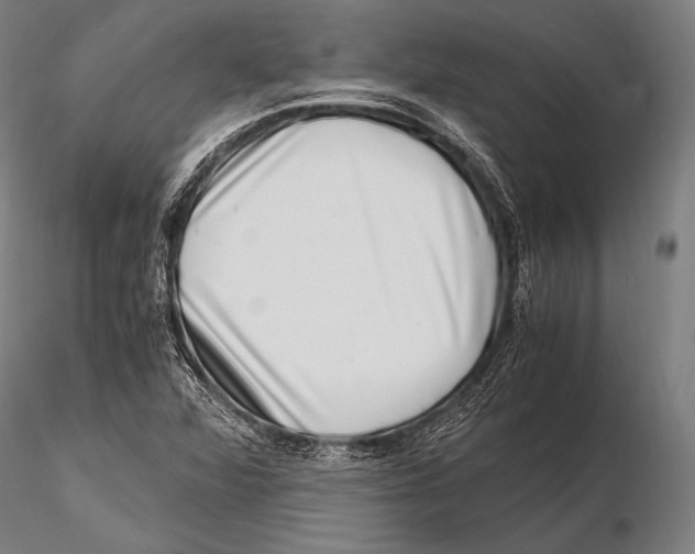 X0000115481360200912040942