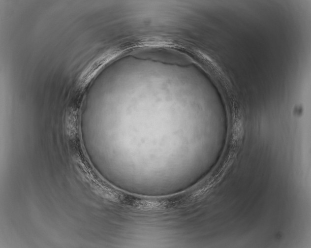 X0000115481361200912040942