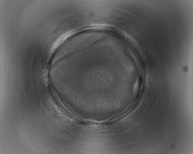 X0000115481362200912040942