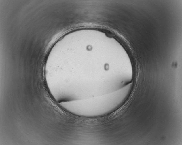 X0000115481365200912040942