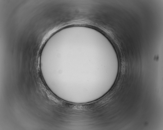 X0000115481366200912040942