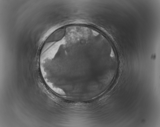 X0000115481367200912040942