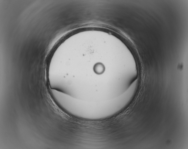 X0000115481368200912040942