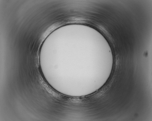 X0000115481370200912040942