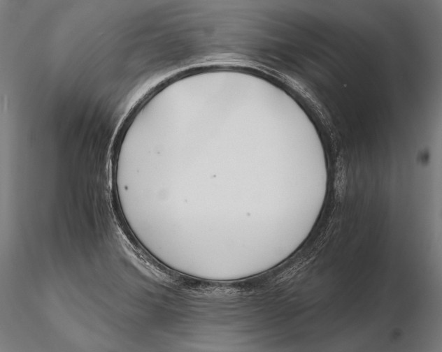 X0000115481372200912040942