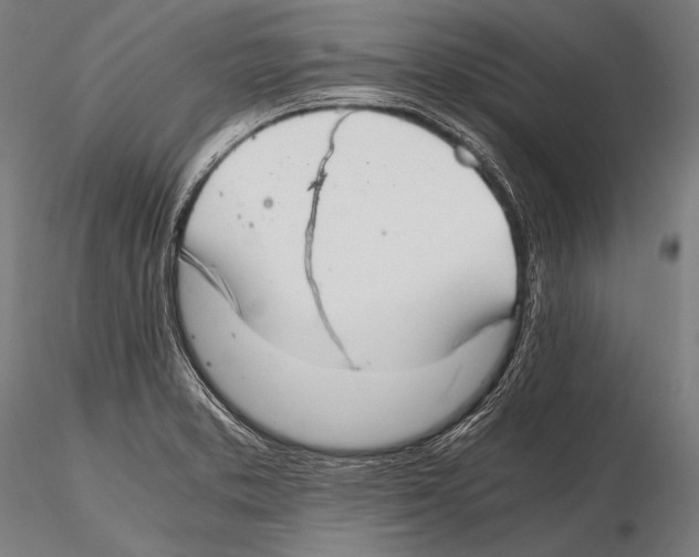 X0000115481373200912040942