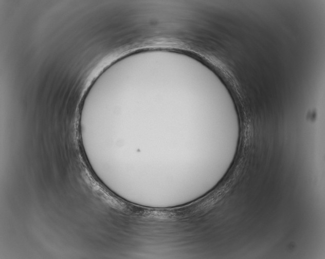 X0000115481374200912040942