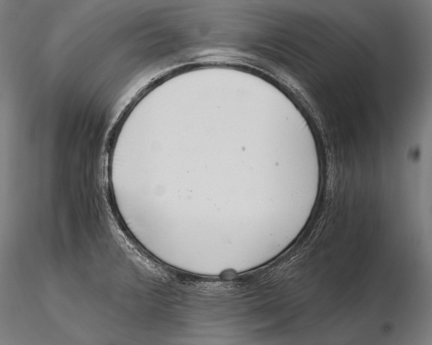 X0000115481376200912040942