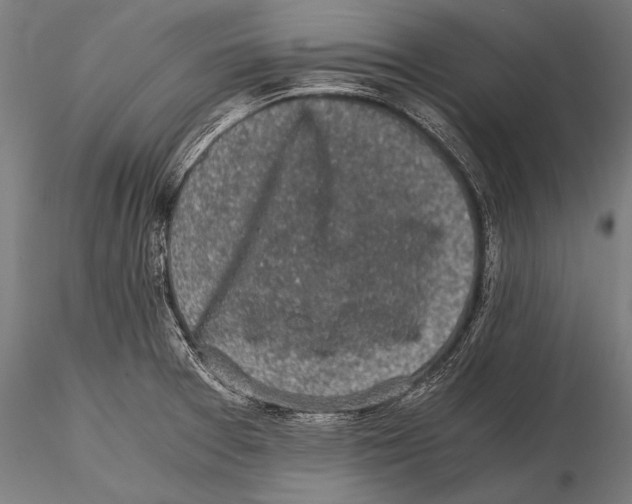 X0000115481377200912040942