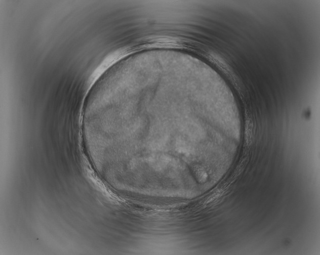 X0000115481378200912040942