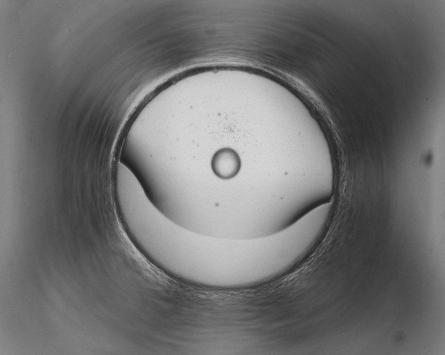 X0000115481380200912040942