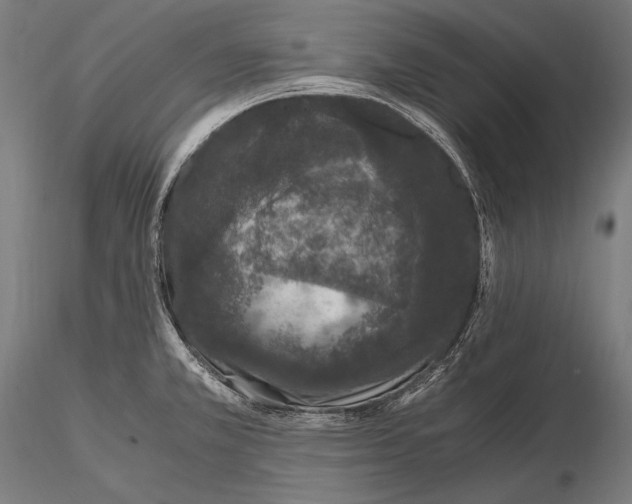 X0000115481381200912040942