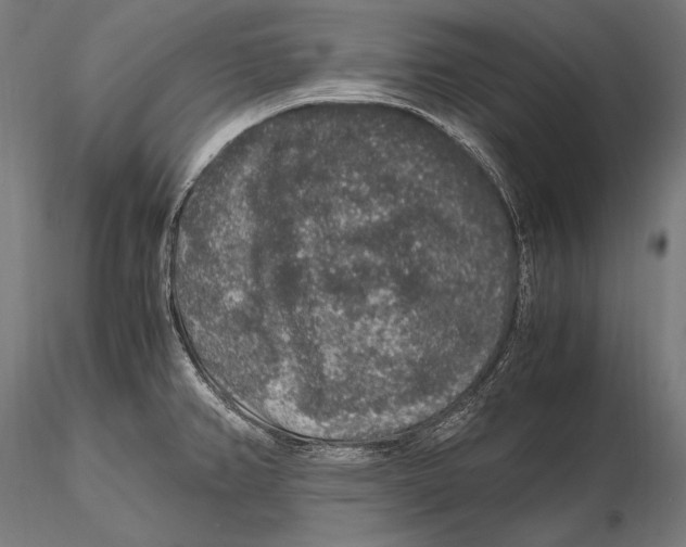 X0000115481382200912040942