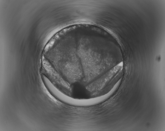 X0000115481383200912040942