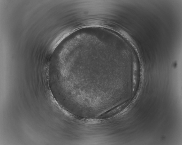 X0000115481385200912040942