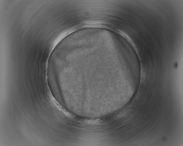 X0000115481386200912040942